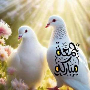 Ali saad