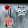 Mujeeb Suhandro