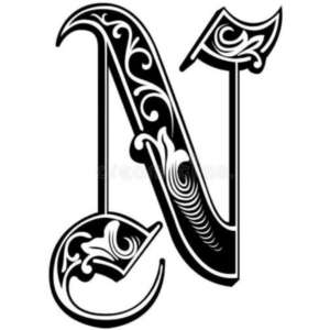 Naveed P