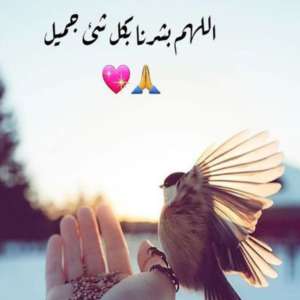 مجهول مجهول