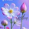 Ashish Nirgule