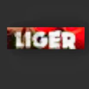 LIGER Liger