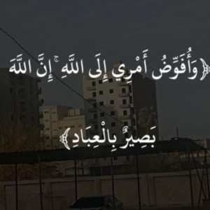 محمود الحلو لكل اعمال الكهرباء