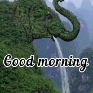 Ravisankar G V