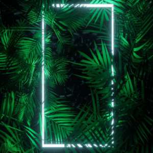 Game Hub Plus