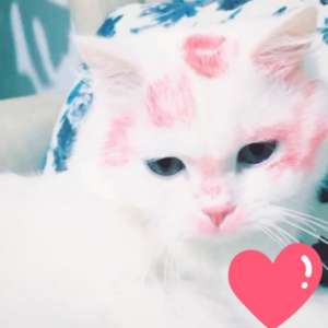 RoRo رهف