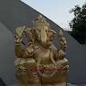 Golu Meena