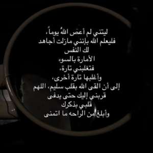 أبو الزعامة