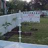 Spike and Electric Fencing