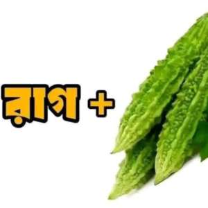 Hossain Vai