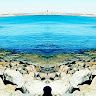 Fouad DZ