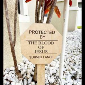 Jesus is King