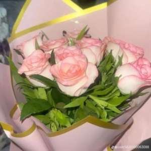maryam mahmoud