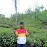 Romesh Earanada kumara