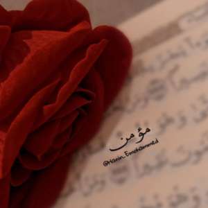 mumin alsayid