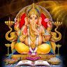 sunitha company