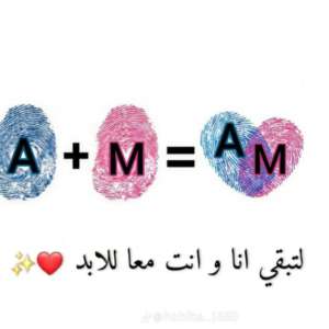AML Elsayed