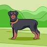 Ankita Tiwari