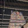 SIVA SAKTHI