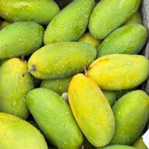 Sayyad Akbar