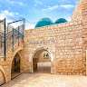 Liem Suzan Alfasi