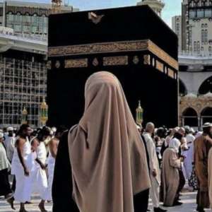بودي بودي