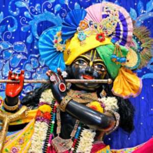 Mayank Sahu