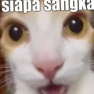 Ayam Geprek