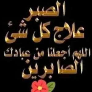 محمد على حامد