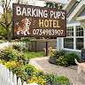 Barking Pup's Hotel Boarding
