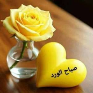 محمد احمد