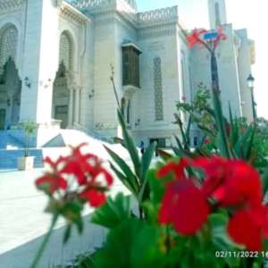 آل قويدري آل قويدري