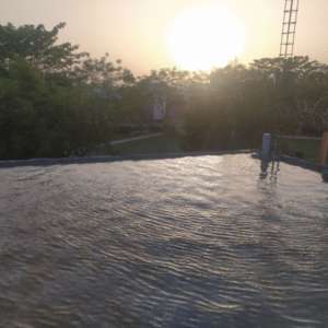 Rashi Singh Dangi
