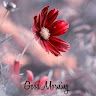 Anshumal Sharma