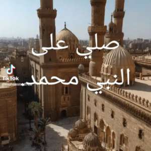محمد عاشور عاشور