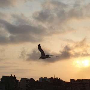 قصر الحكومة