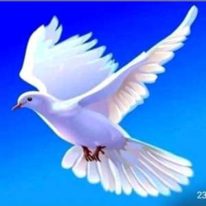 Prince of Peace
