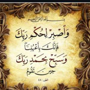 khaled AbdElhamed