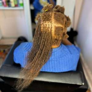 Alice Billions Sisterlocks