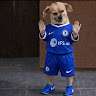 Sabi Boy