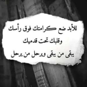 Abo Bakr