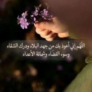 تومورو الهاشمي الشمالي