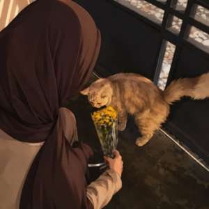 Hassnaa Nasser