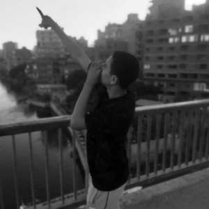 حازم عمرو